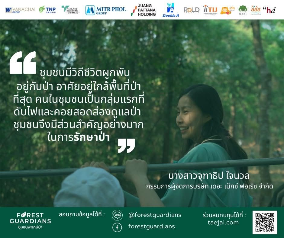 TNF: 2025 – The Next Forest